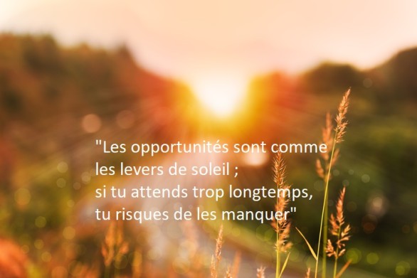 De commerciële tool FOMO